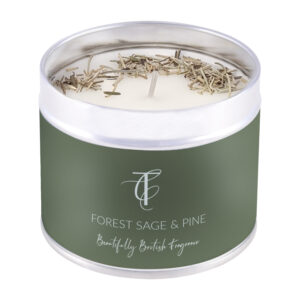 SEASONAL PASTELS-Forest Sage & Pine Tin Candle