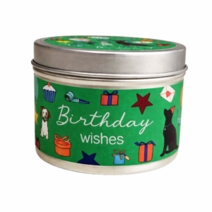 NEW EMMA LAWRENCE-SENTIMENTS-Birthday Wishes Mini Tin Candle